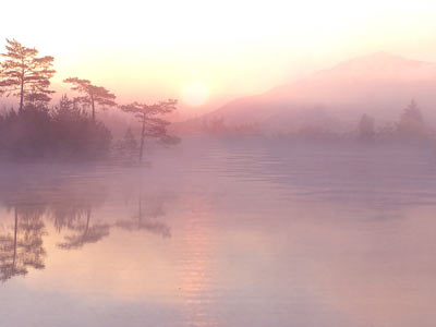 �cran de veille La Beaut� � la Voie du Tao